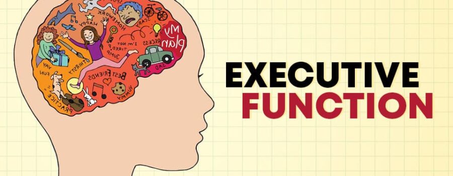 What Even is Executive Function? Are Some Executive Functions Better than Others?